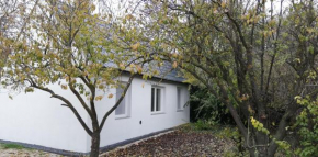 Little Zen House